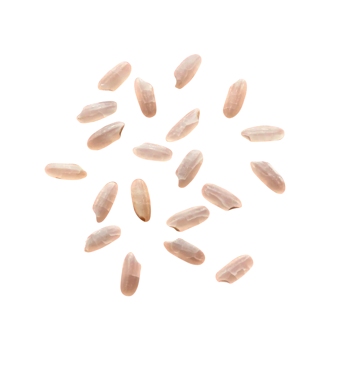 Grains de riz long blanc Grains de riz long blanc