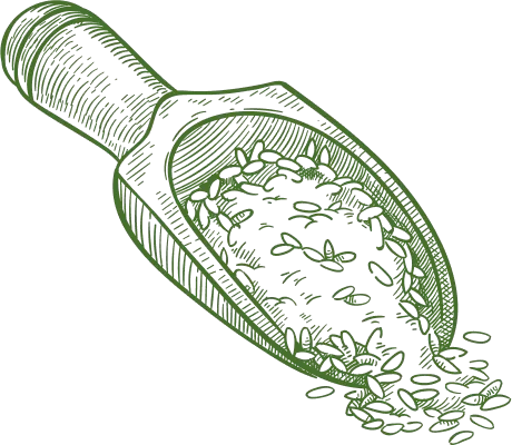 Dessin pelle à riz Dessin pelle à riz